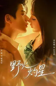 野火灼星
