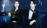 只是未婚妻的关系
