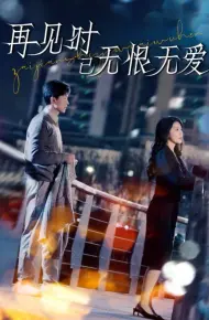 再见时已无恨无爱