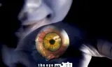 见鬼十法