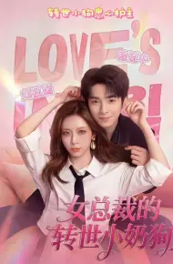 女总裁的转世小奶狗