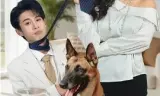 变成狗后,被女上司捡回家了
