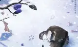 白牙