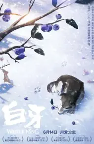 白牙
