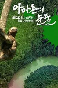 亚马逊的眼泪