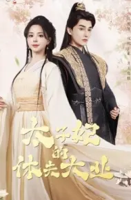 太子妃的休夫大业