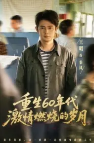 重生60年代激情燃烧的岁月