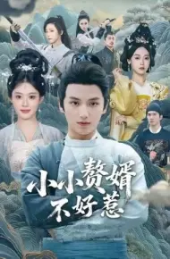 小小赘婿不好惹