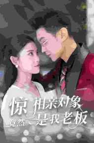 惊相亲对象竟然是我老板
