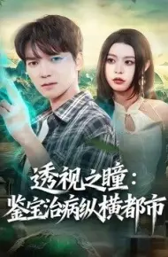 透视之瞳：鉴宝治病纵横都市