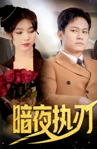 暗夜执刀