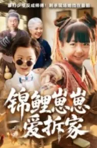 锦鲤崽崽爱拆家