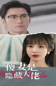 傻妻是隐藏大佬