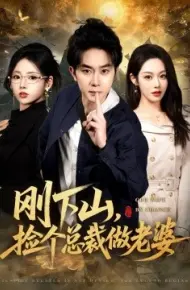 刚下山捡个总裁做老婆