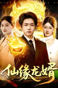 仙缘龙婿