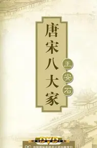 百家讲坛—唐宋八大家之王安石