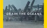 海底大揭秘第四季