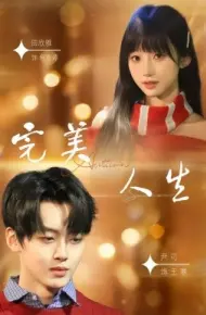 完美人生