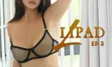 L3:飞