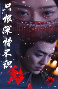 只恨深情不识鸢