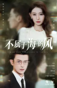 不属于海的风