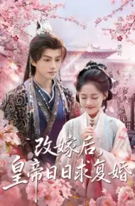 改嫁后,皇帝日日求复婚