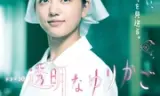 透明的摇篮