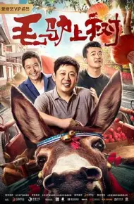 毛驴上树