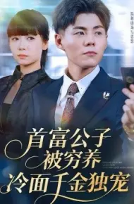 首富公子被穷养，冷面千金独宠
