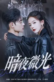 暗夜微光