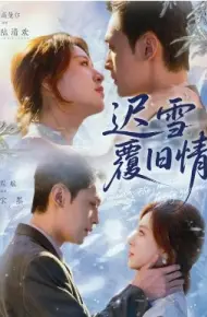 迟雪覆旧情