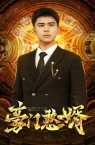 豪门憨婿