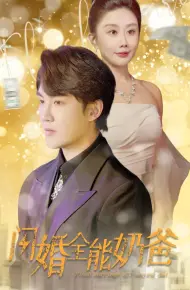 闪婚全能奶爸