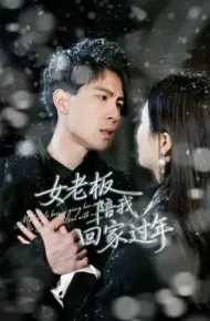 女老板陪我回家过年