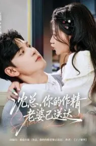 沈总，你的作精老婆已送达