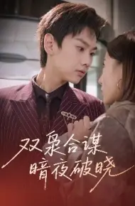 双枭合谋暗夜破晓