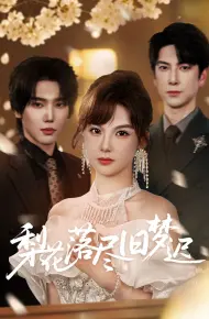 梨花落尽旧梦迟