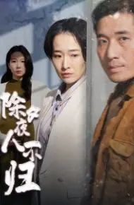 除夕夜人不归