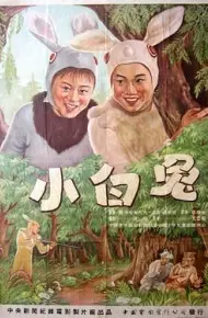 小白兔