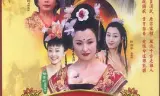 大唐歌飞