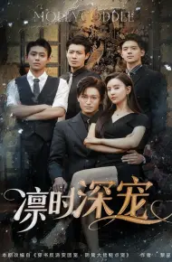 凛时深宠