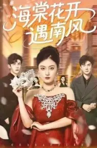 海棠花开遇南风