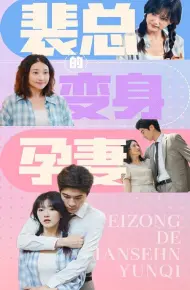 裴总的变身孕妻