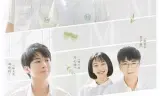那年夏天有风吹过