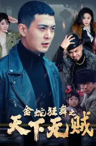 金蛇狂舞之天下无贼