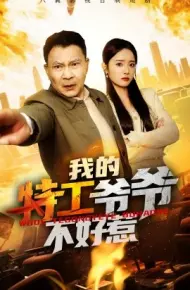 我的特工爷爷不好惹