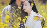 桃花缘起