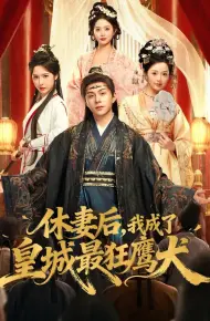 休妻后，我成了皇城最狂鹰犬