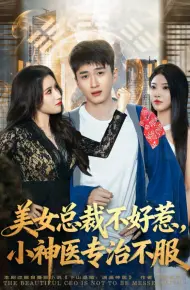 美女总裁不好惹，小神医专治不服