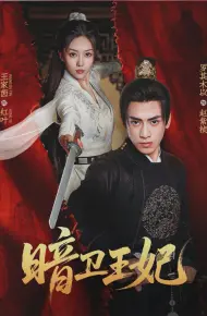 暗卫王妃